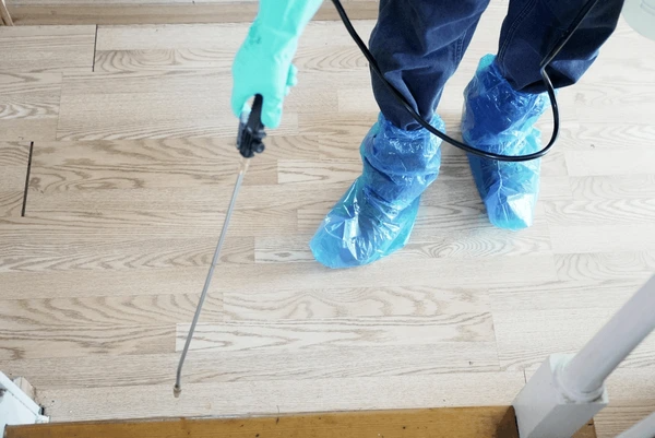 Building And Pest Inspection Adelaide Cost