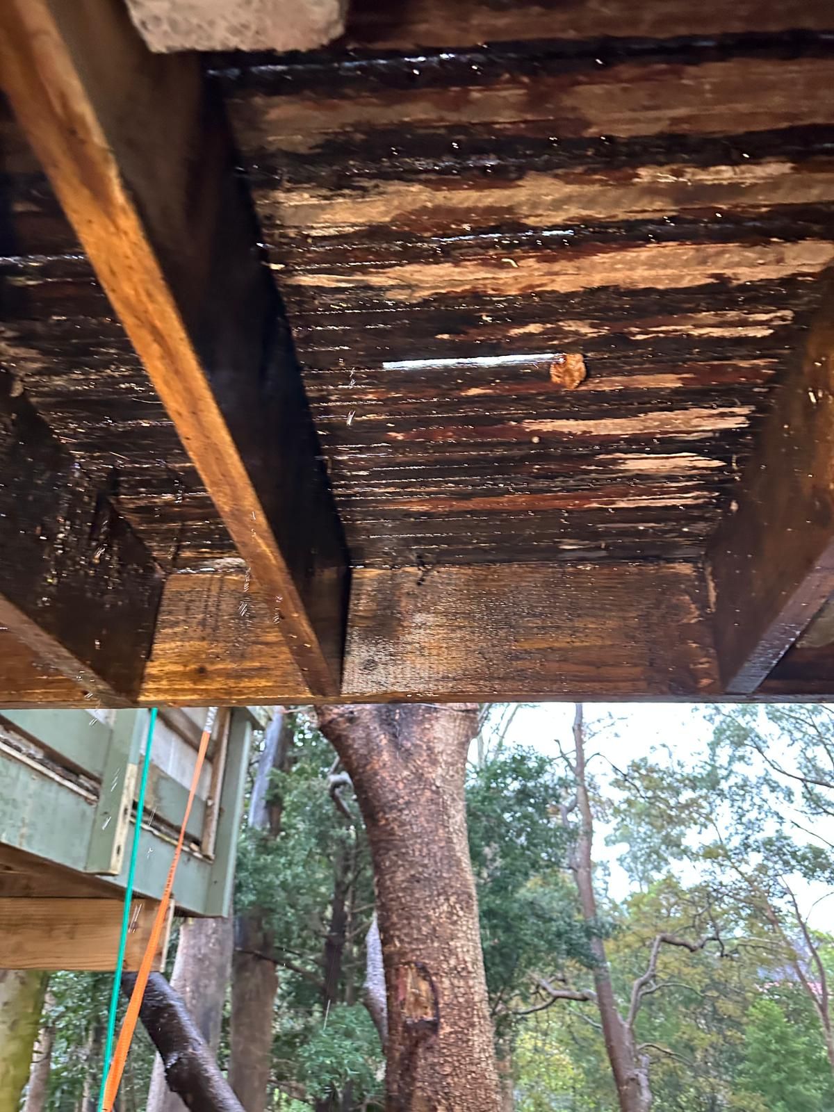 reinforcement inspection