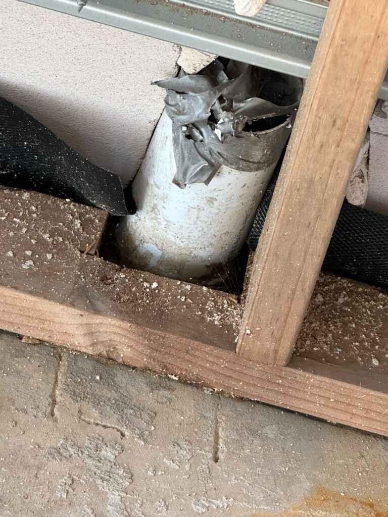 Mould Inspection Adelaide