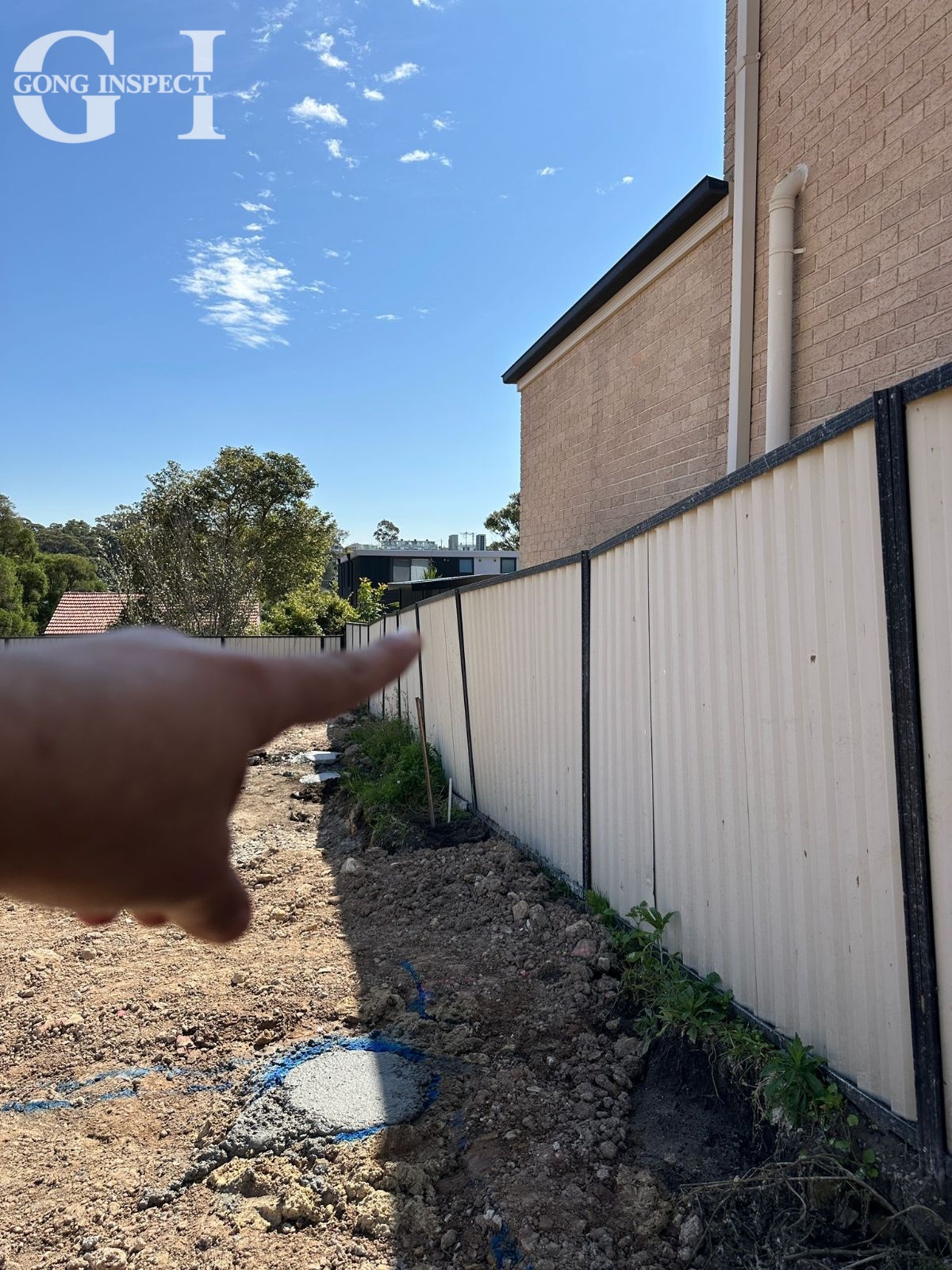 Mould Inspection Adelaide for a Healthier, Safer Property
